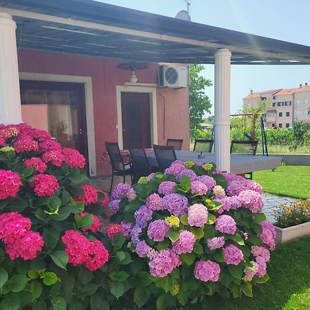 Apartments Dragica 포레치 외부 사진