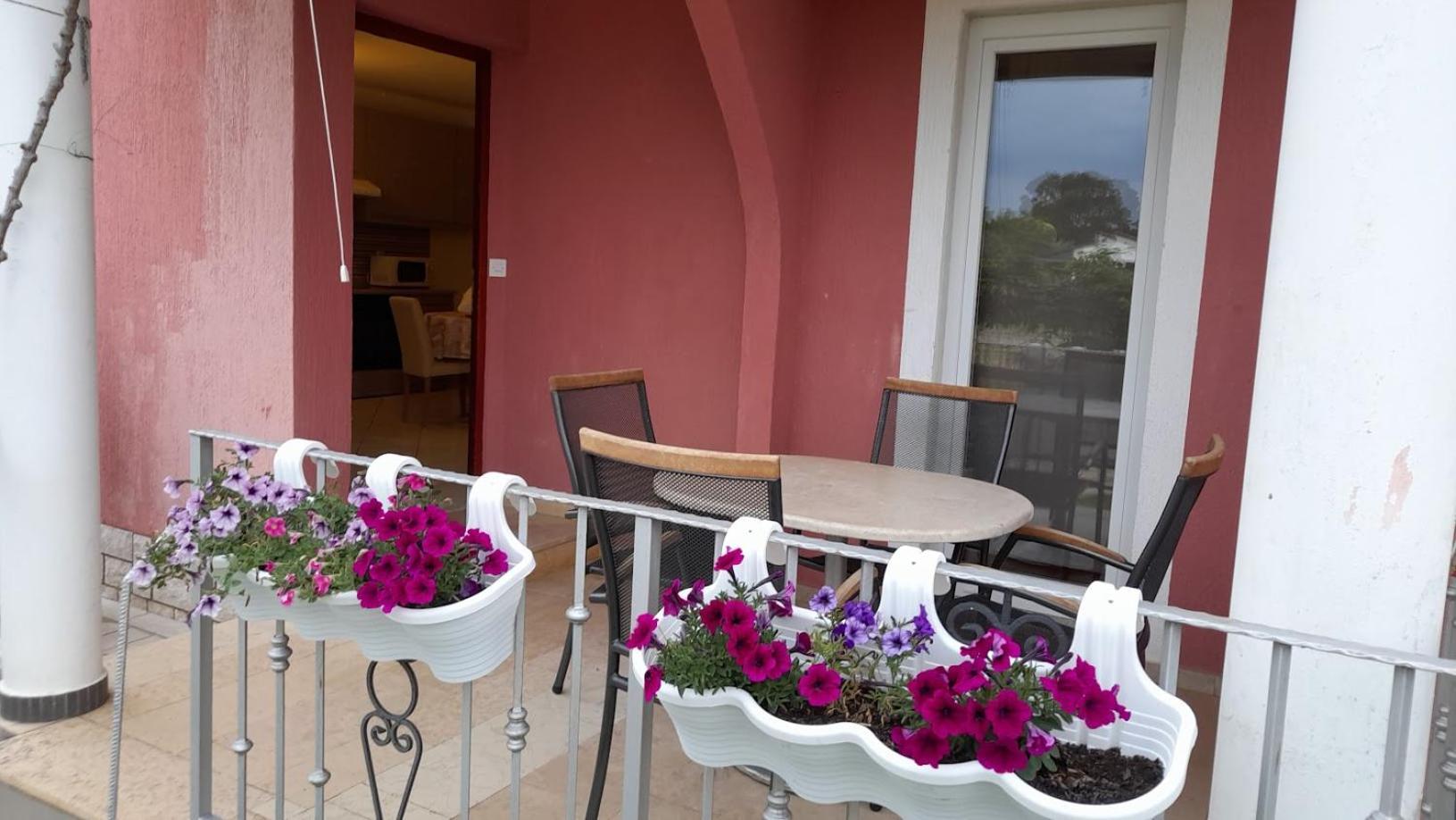 Apartments Dragica 포레치 외부 사진