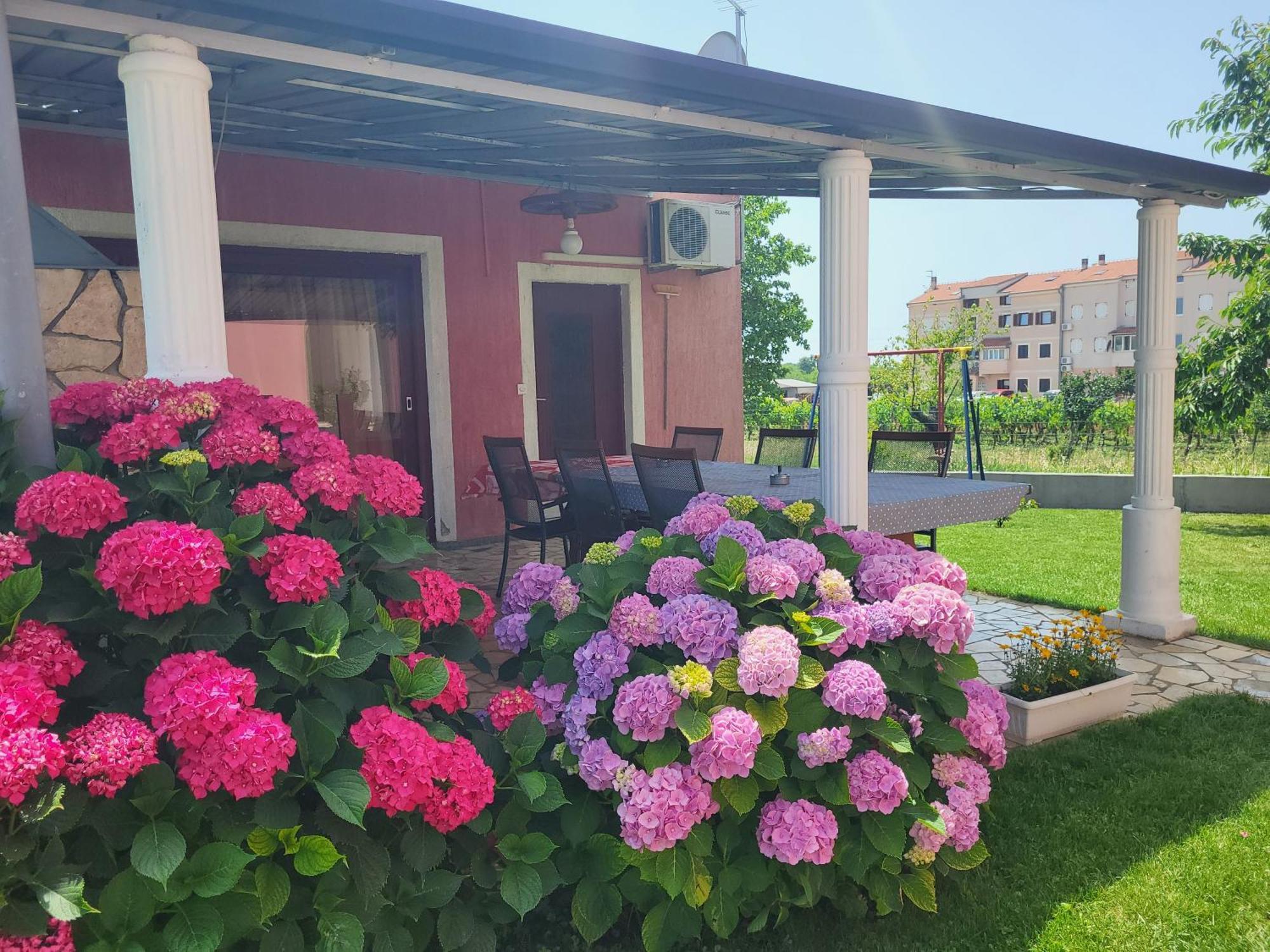 Apartments Dragica 포레치 외부 사진