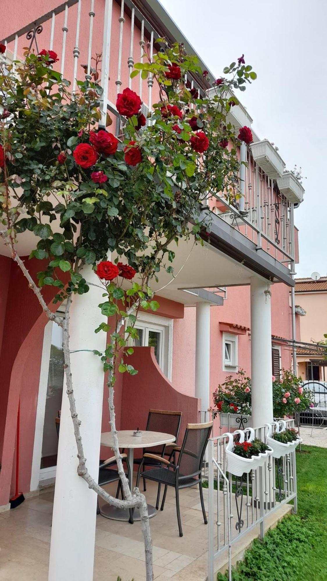 Apartments Dragica 포레치 외부 사진